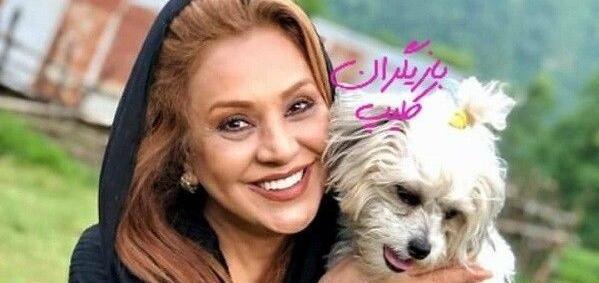 عکس حیوانات خانگی بامزه