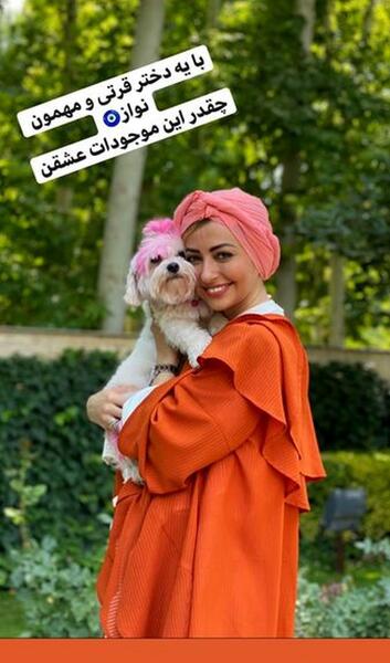 عکس حیوانات خانگی بامزه