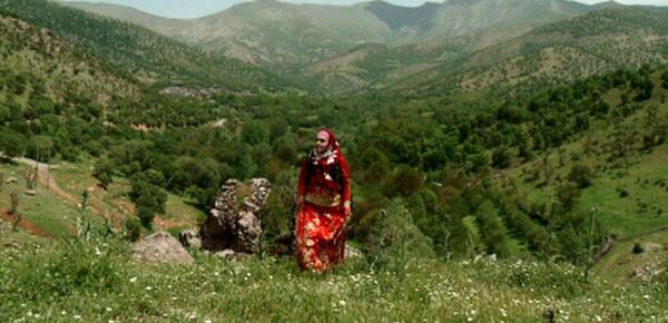 عکس صفورا صحافی