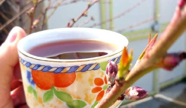 عکس چای و گل