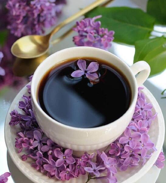 عکس چای و گل