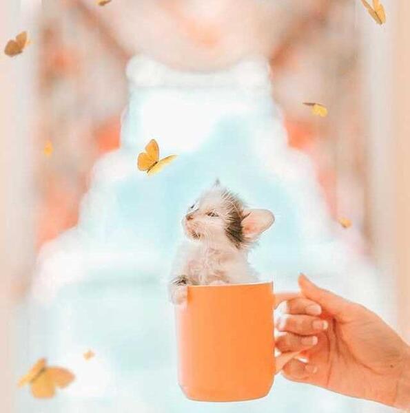 عکس ساده پروفایل دخترونه