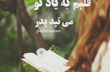 متن قاب عکس پدر فوت شده