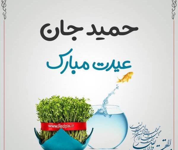 عکس حمید تولدت مبارک