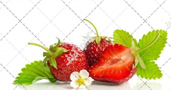 عکس شکوفه توت فرنگی