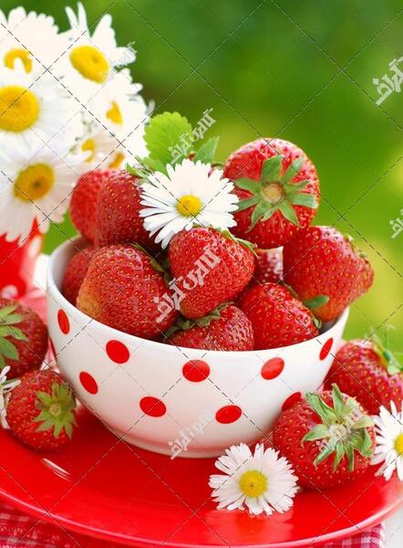 عکس شکوفه توت فرنگی