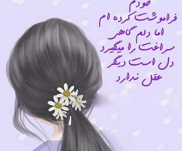 عکس متن های زیبا برای وضعیت واتساپ دخترانه