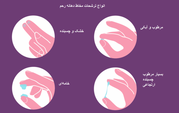 عکس ترشحات بارداری قبل از پریود