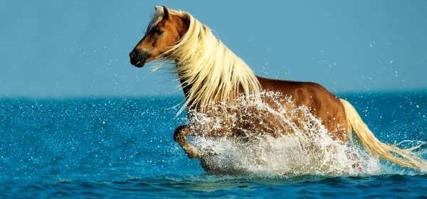 عکس دریا خیلی زیبا