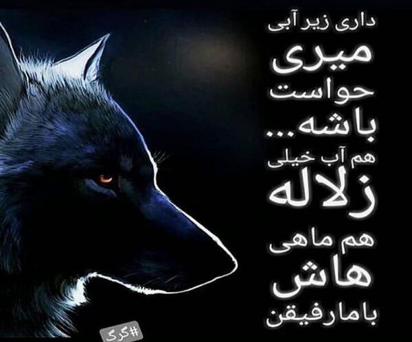 عکس نوشته رفیق زیراب زن