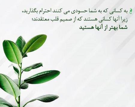 عکس نوشته رفیق زیراب زن