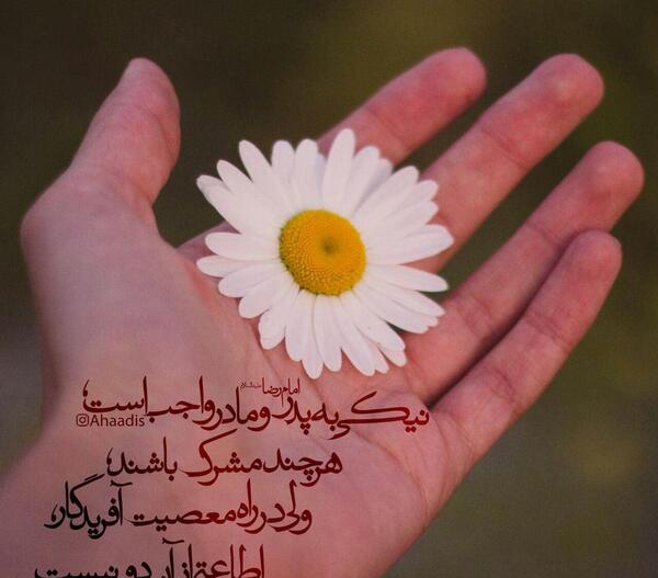 عکس احسان به والدین