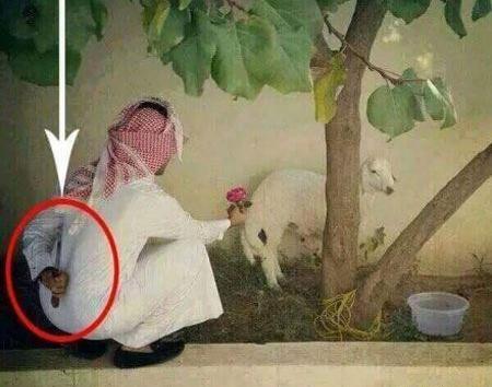 عکس نوشته عید قربان خنده دار