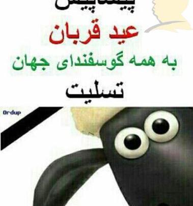 عکس نوشته عید قربان خنده دار