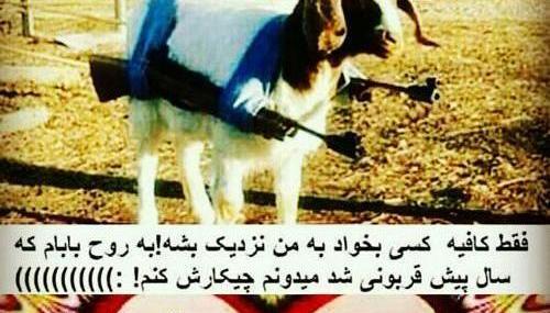 عکس نوشته عید قربان خنده دار