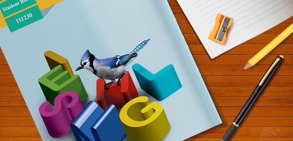 عکس کتاب زبان یازدهم