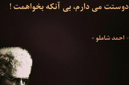 عکس نوشته تولد احمد شاملو