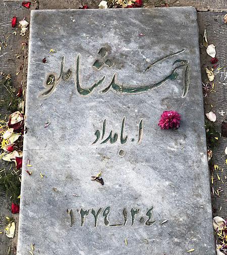 عکس نوشته تولد احمد شاملو