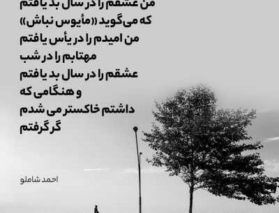 عکس نوشته تولد احمد شاملو