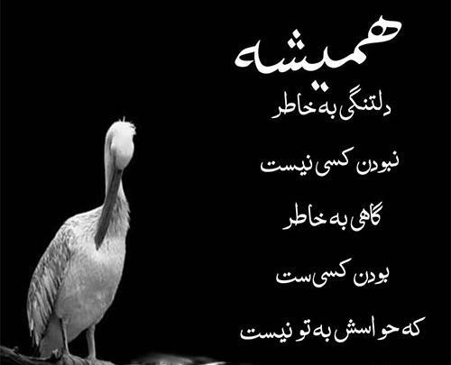 عکس نوشته تیکه دار فلسفی