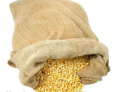 عکس از لپه