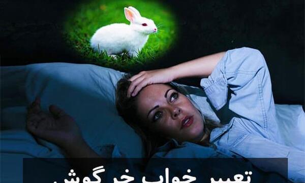عکس خرگوش غمگین