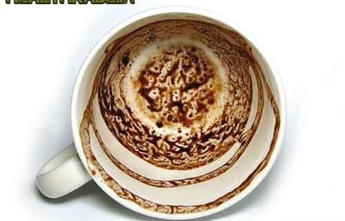 عکس فیل در فنجان قهوه