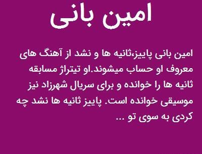 عکس نوشته اهنگ نشد امین بانی