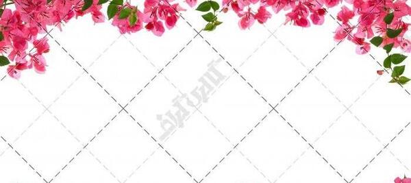 عکس حاشیه سفید