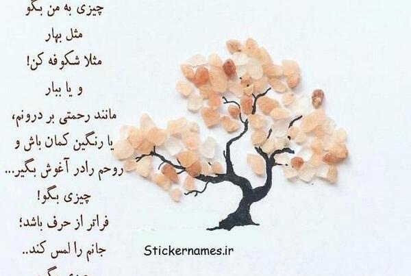 عکس نوشته در مورد شکوفه های بهاری