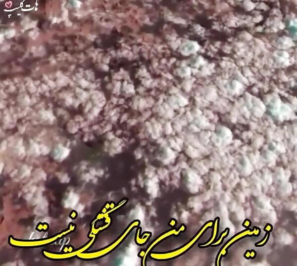 عکس نوشته خدایا زمینت جای قشنگی نیست