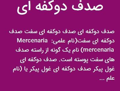 عکس صدف ملوک
