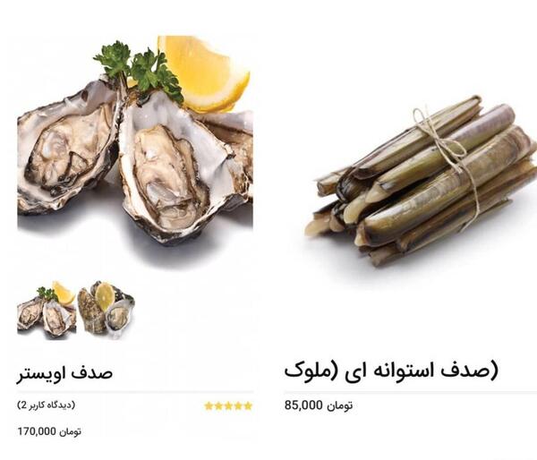 عکس صدف ملوک