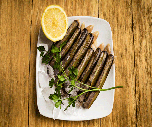 عکس صدف ملوک
