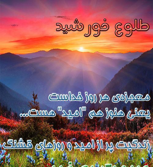 عکس نوشته نه برگ گلی به شاخه ها می ماند