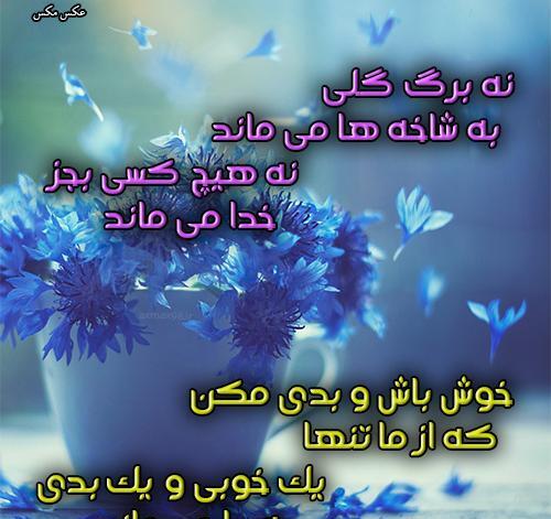 عکس نوشته نه برگ گلی به شاخه ها می ماند
