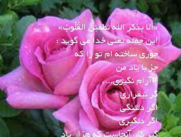 عکس نوشته نه برگ گلی به شاخه ها می ماند