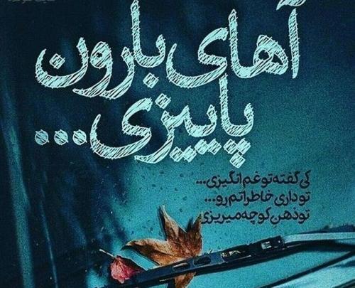 عکس نوشته نه برگ گلی به شاخه ها می ماند