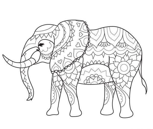 عکس فیل ساده