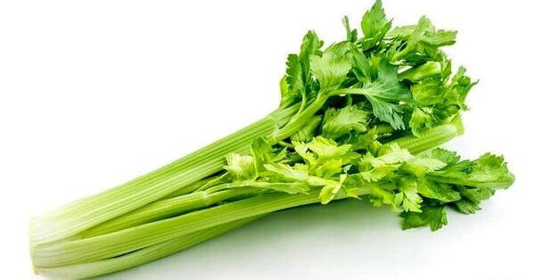 عکس میوه کرفس