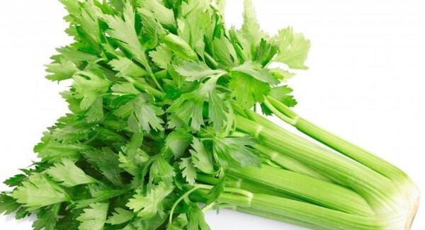 عکس میوه کرفس