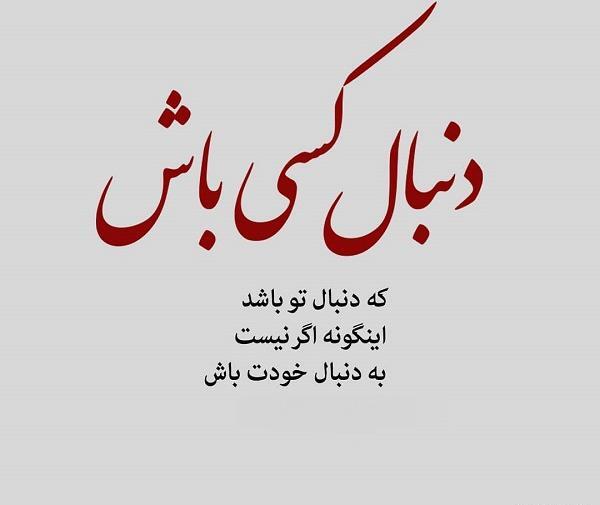 عکس نوشته پرواز قشنگ است ولی بی غمو منت