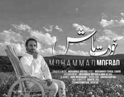عکس نوشته پرواز قشنگ است ولی بی غمو منت