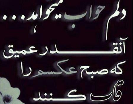 عکس نوشته پرواز قشنگ است ولی بی غمو منت