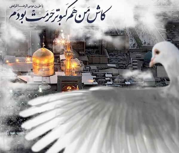 عکس حرم امام رضا فتوکده