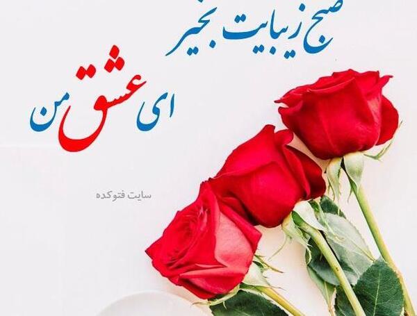 عکس حرم امام رضا فتوکده