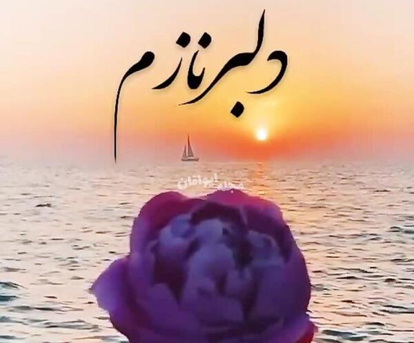 عکس پروفایل دلبر نازم