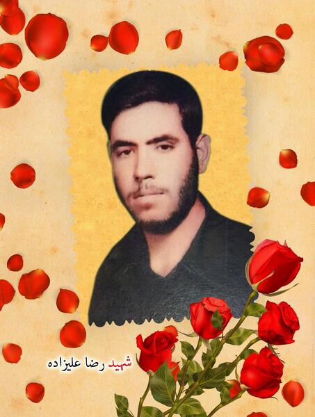 عکس رضا علیزاده