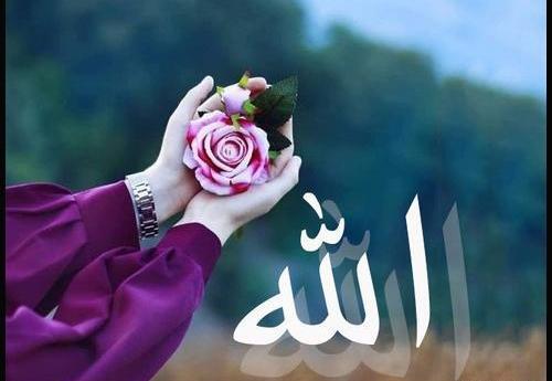 عکس الله کریم