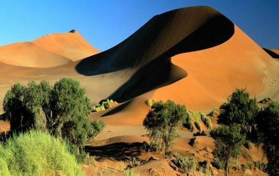 عکس طبیعت صحرا